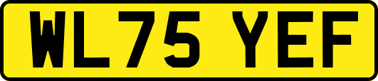 WL75YEF