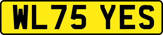 WL75YES