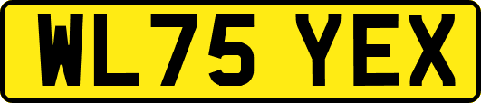 WL75YEX