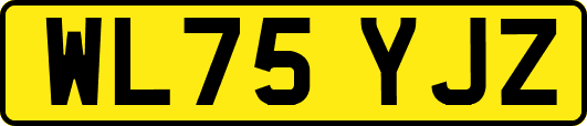 WL75YJZ