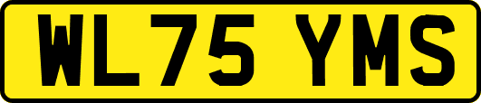 WL75YMS