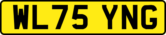 WL75YNG