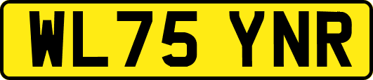 WL75YNR
