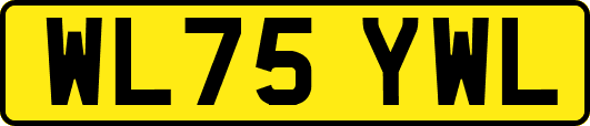 WL75YWL