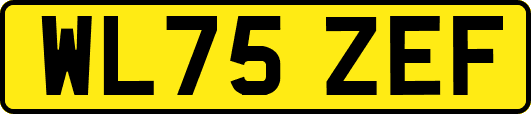 WL75ZEF