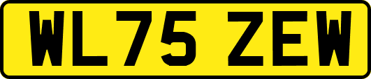 WL75ZEW