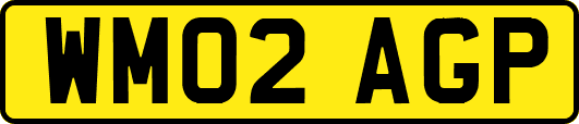 WM02AGP