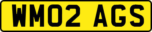 WM02AGS