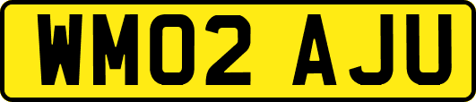 WM02AJU