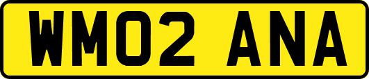 WM02ANA
