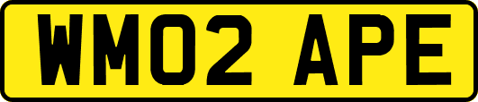 WM02APE