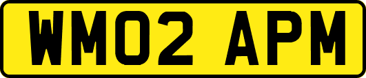WM02APM