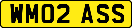 WM02ASS