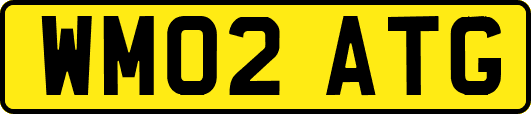WM02ATG