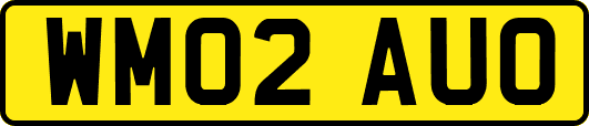 WM02AUO