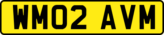 WM02AVM