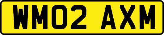 WM02AXM