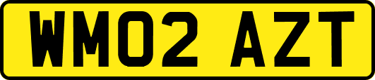 WM02AZT