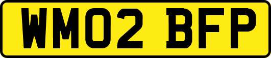 WM02BFP