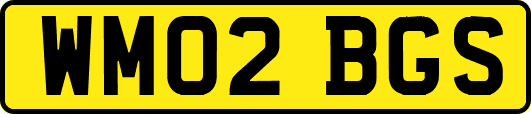 WM02BGS