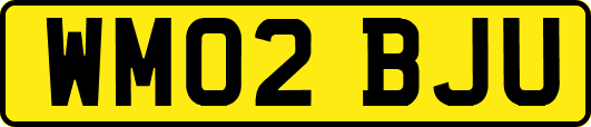 WM02BJU