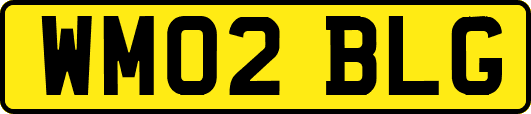 WM02BLG