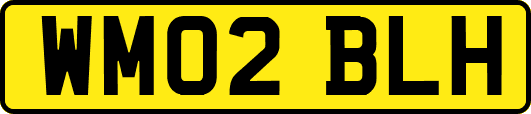 WM02BLH