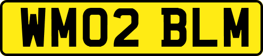 WM02BLM
