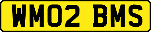 WM02BMS