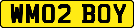 WM02BOY
