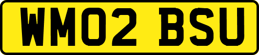 WM02BSU