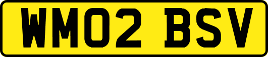 WM02BSV