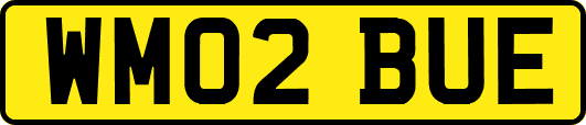 WM02BUE