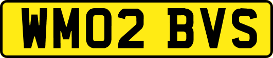 WM02BVS
