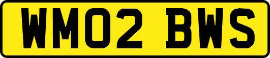 WM02BWS