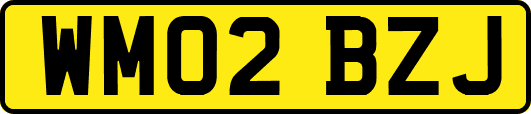 WM02BZJ