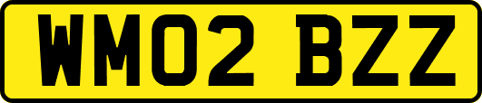 WM02BZZ