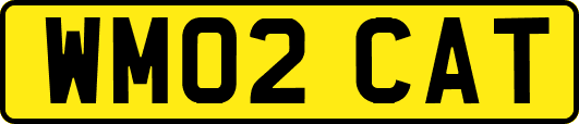 WM02CAT