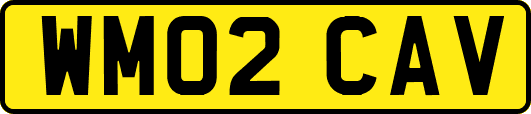 WM02CAV