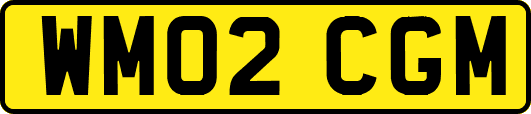 WM02CGM