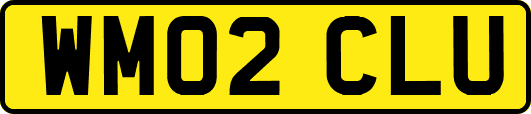 WM02CLU