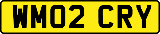 WM02CRY