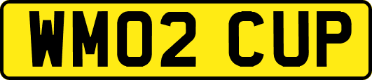 WM02CUP