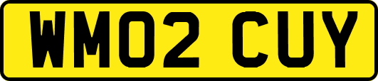 WM02CUY