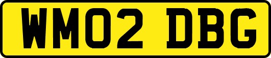 WM02DBG