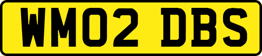 WM02DBS