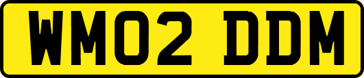 WM02DDM