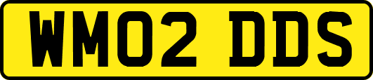 WM02DDS