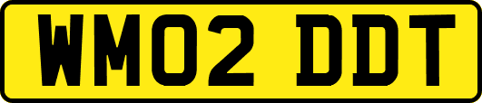 WM02DDT