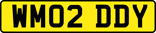 WM02DDY